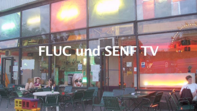 12 Jahre Fluc - Senf TV