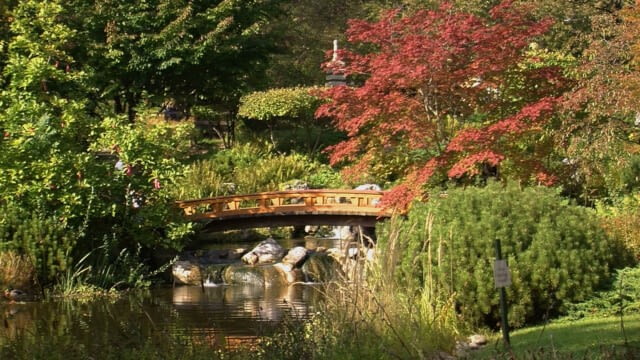 Im Setagayapark - Senf TV