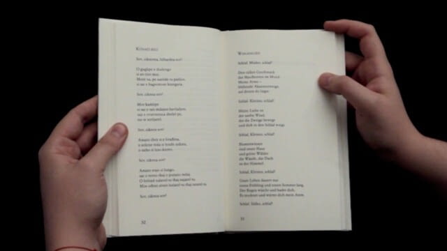 #05 JOVANOVIĆ "Moro kujbo ande ćire bal" und "Dromese rigatar" - Zwischen_Zeiler