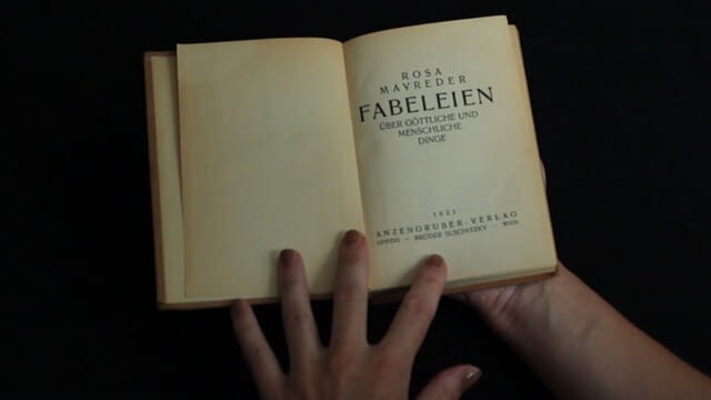 #03 MAYREDER "Ein Zwist" - Zwischen_Zeiler