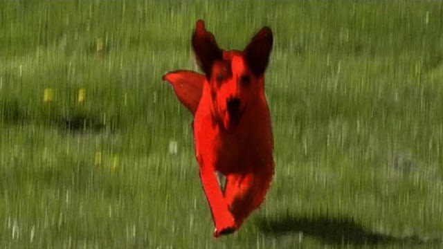 Looking for Love - kurz & gut