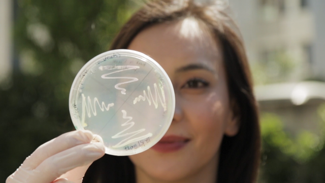Big Impact of Small Things: Lessons from Bacteria - Meine Forschung als Video