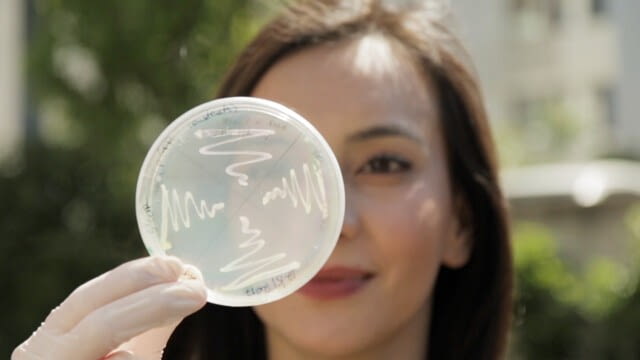Big Impact of Small Things: Lessons from Bacteria - Meine Forschung als Video