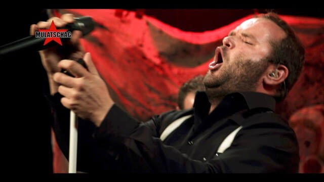 Go! Go! Gorillo - Mulatschag