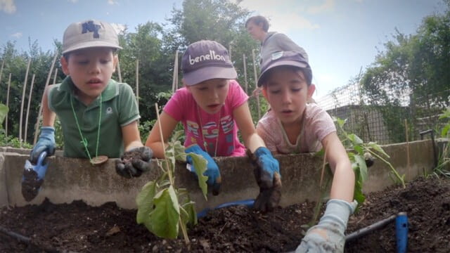 CITYFARM WIEN - Worauf kommt es beim Gärtnern an? - oktoKIDS
