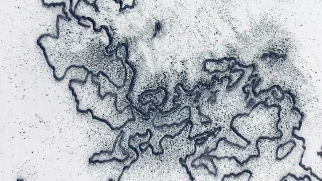 In erster Linie - kurz & gut