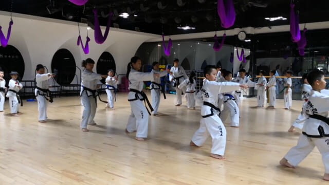 China und Österreich: Bildungswesen - Tandem - China und Österreich