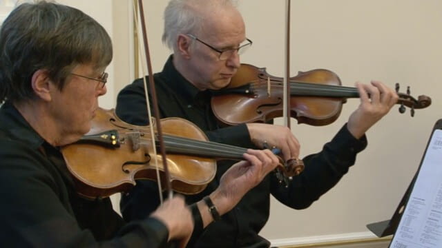 HAYDN & HAYDN - Musiksalon