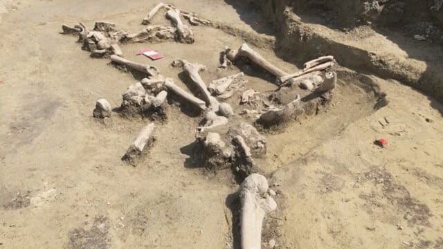 Freigelegt - Das Gedächtnis des Erdbodens - Jukebox