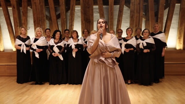 Bosnisch-Herzegowinische Community Tage in Wien / Eröffnung - oktoSCOUT