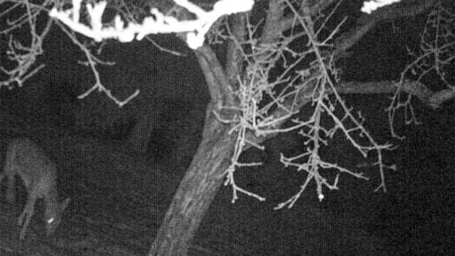 IlandII - Poplastikka