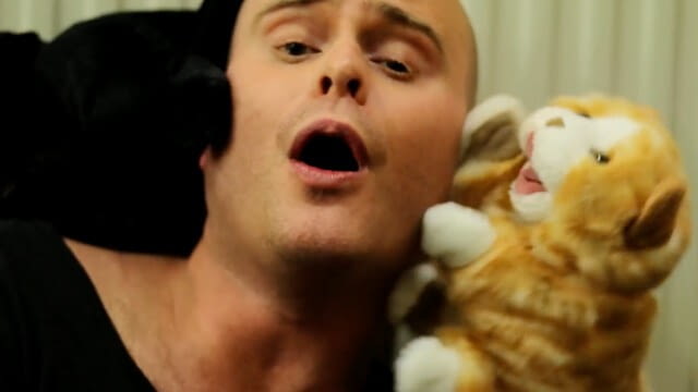 Katzenfestung - Poplastikka