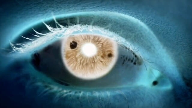 Stars Without Fame - Poplastikka