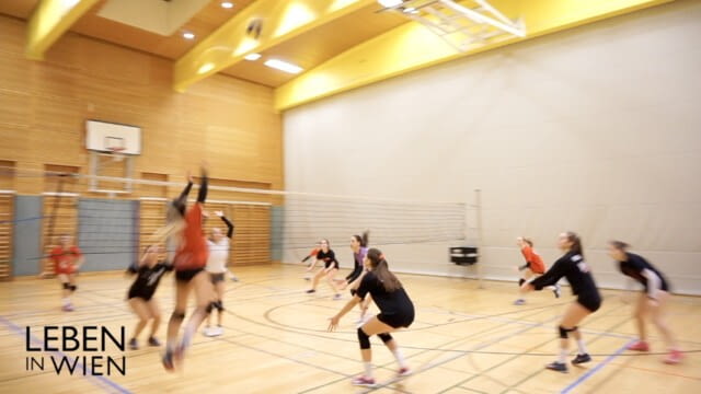 volley16wien - Leben in Wien