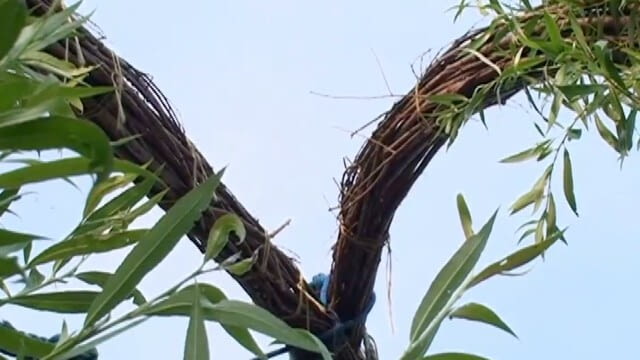 Weidenbau - Wie Geht Das?