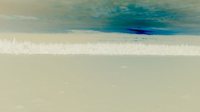 All is forgotten - Poplastikka