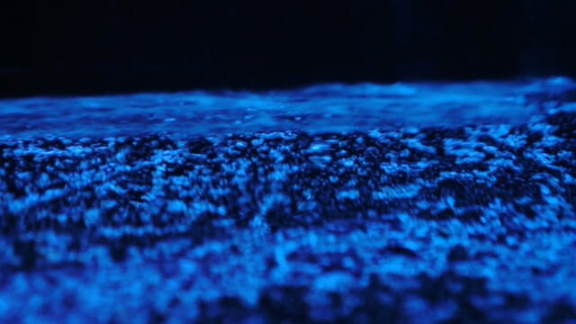 Midnight Children - Poplastikka