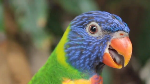 Helfen - Perspektive