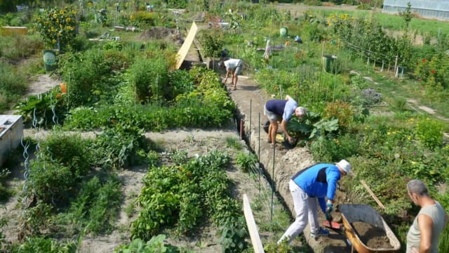 Gemeinschaftsgarten „Paradeisgartl“ - Wie Geht Das?