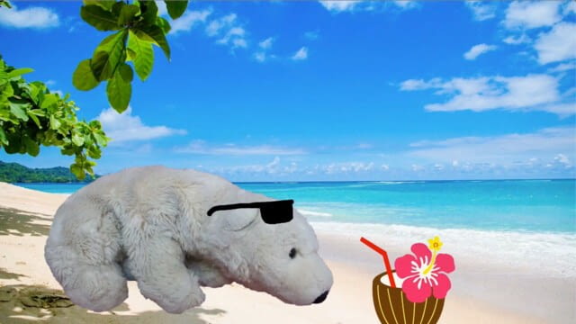 Klimakrise & Klimagerechtigkeit + coole Experimente zum Klimawandel - Umblick - Gemeinsam daheim