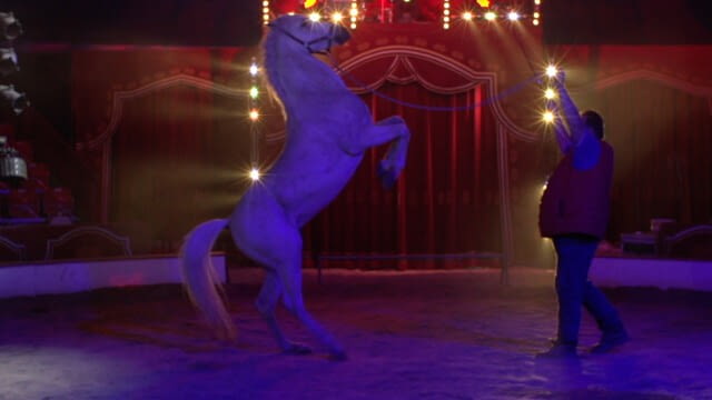 VENI VIDI VIDEO - Veni Vidi Video