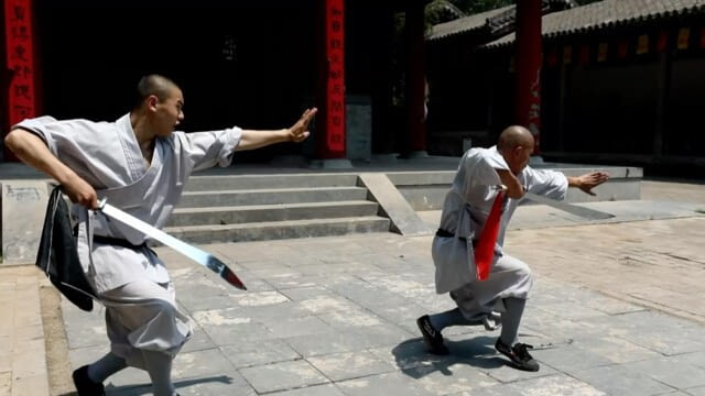 Folge 11 - Treffpunkt China-Österreich