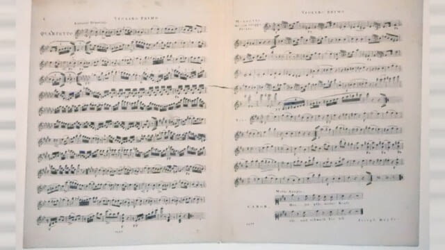 Der große Wiener Musiker Haydn - Der kleine Stadtstreicher