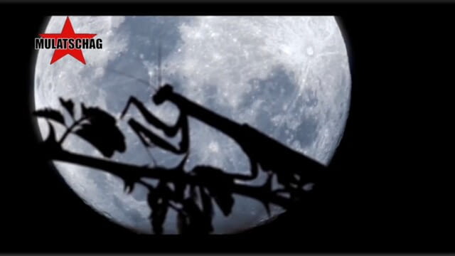 MULATSCHAG REVISITED 07 - Mulatschag