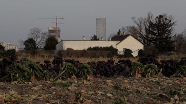 Donaufeld bodenlos - AKKU