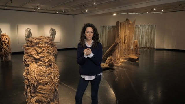 Soli Kiani - Ossian Rebellion - Kunstforum Revisited