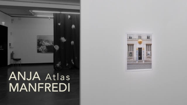 Anja Manfredi - Kunstforum Revisited