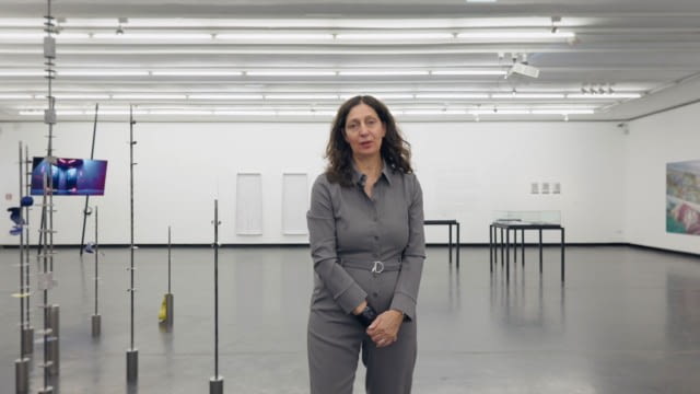 House of sight, seen - Kunstforum Revisited