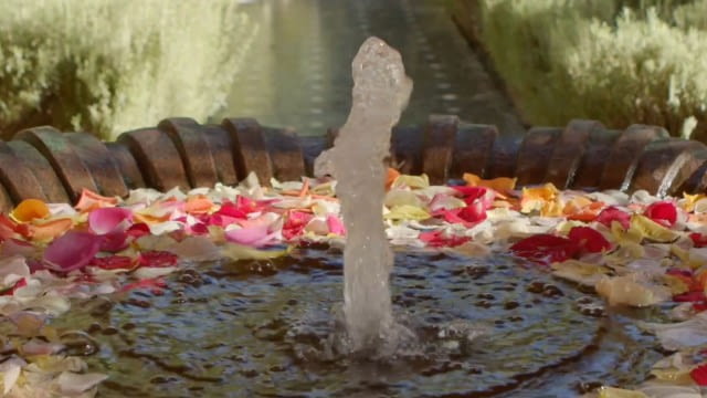 Hanakam & Schuller - The Water Cabinet - Kunstforum Revisited