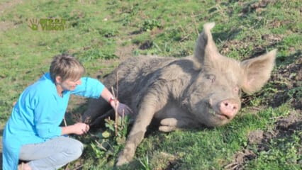 oktothek_episode_thumb_img