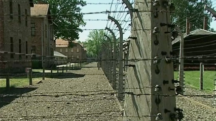 Posterframe von Nebenan: Zivildiener in Auschwitz