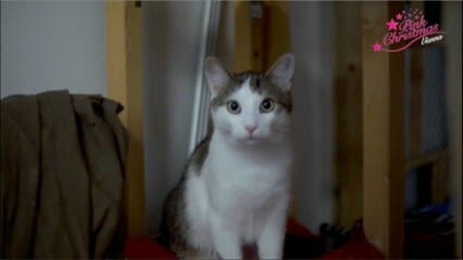 oktothek_episode_thumb_img