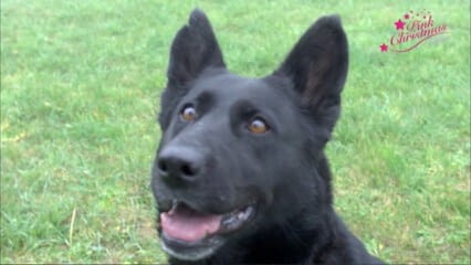 oktothek_episode_thumb_img