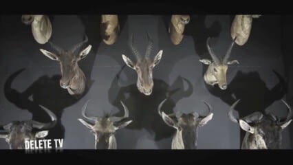 oktothek_episode_thumb_img