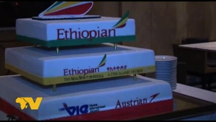 oktothek_episode_thumb_img