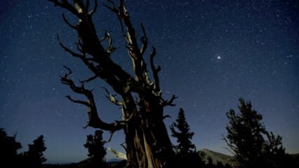 oktothek_episode_thumb_img