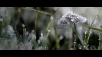 oktothek_episode_thumb_img