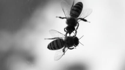 oktothek_episode_thumb_img