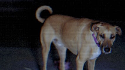 oktothek_episode_thumb_img