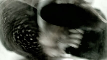 oktothek_episode_thumb_img