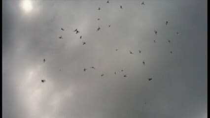 oktothek_episode_thumb_img