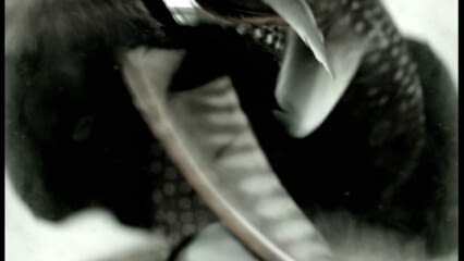 oktothek_episode_thumb_img