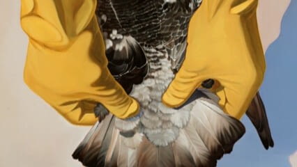 oktothek_episode_thumb_img