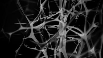 oktothek_episode_thumb_img