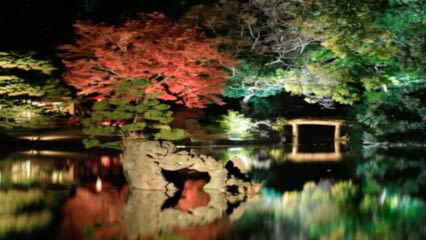 oktothek_episode_thumb_img