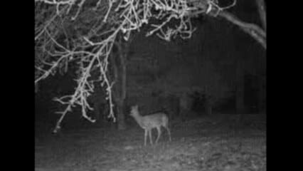 oktothek_episode_thumb_img